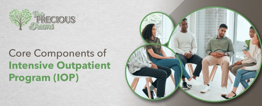 Core Components of Intensive Outpatient Program (IOP)