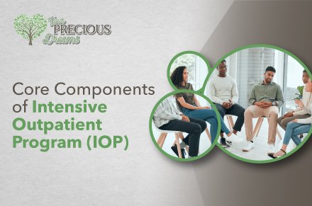 Core Components of Intensive Outpatient Program (IOP)